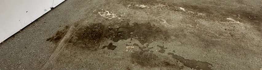 ccg-floor-image-3 Wet, stained concrete floor surface.